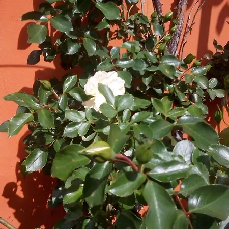 Antica Corte Lombarda 3*