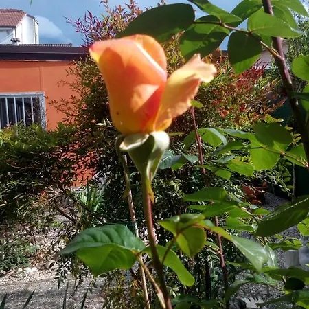 Bed & Breakfast Antica Corte Lombarda