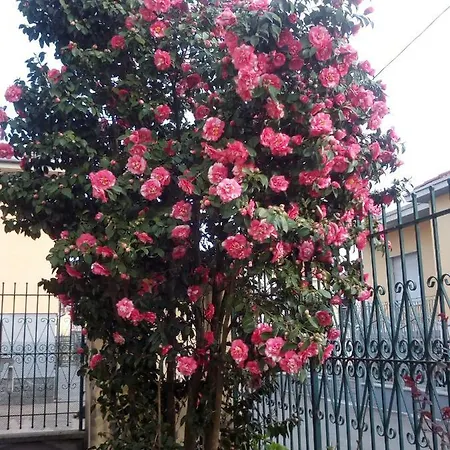 Antica Corte Lombarda Mortara