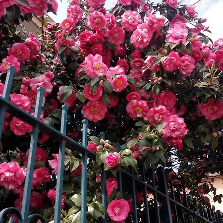 Antica Corte Lombarda Bed & Breakfast *
